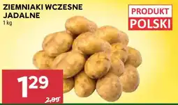 Stokrotka Ziemniaki Wczesne Jadalne oferta