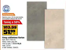 OBI Gresy szkliwione Harton oferta