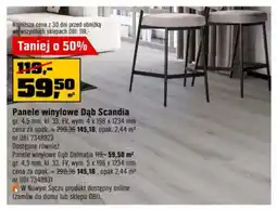 OBI Panele winylowe Dąb Scandia oferta