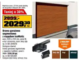 OBI Brama garażowa segmentowa z napędem IsoMatic oferta