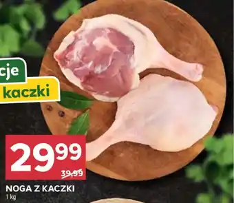 Stokrotka NOGA Z KACZKI oferta