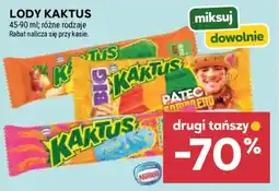 Stokrotka Lody Kaktus oferta