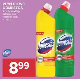 Stokrotka Płyn do WC Domestos oferta