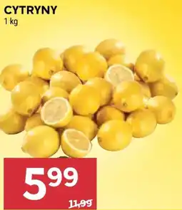 Stokrotka Market Cytryny oferta
