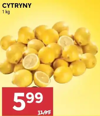 Stokrotka Market Cytryny oferta