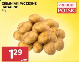 Stokrotka Market Ziemniaki Wczesne Jadalne oferta