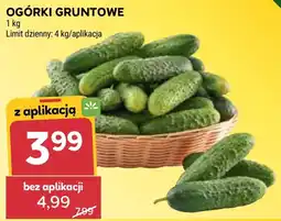 Stokrotka Market Ogórki Gruntowe oferta