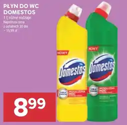 Stokrotka Market Płyn do WC Domestos oferta
