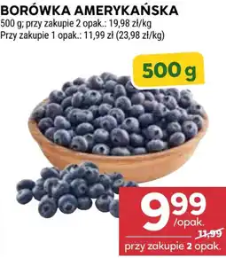 Stokrotka Market Borówka Amerykańska oferta