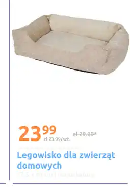 Action Legowisko dla zwierząt Coni oferta