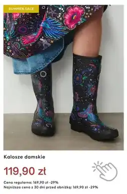 Medicine Kalosze damskie oferta