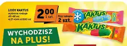 ABC Lody Kaktus Long oferta