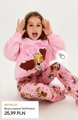 Sinsay Bluza dziecięca crewneck PAW Patrol oferta