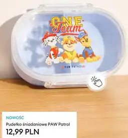 Sinsay Pudełko śniadaniowe PAW Patrol oferta