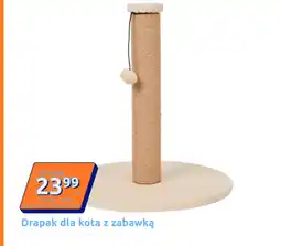 Action Drapak dla kota oferta