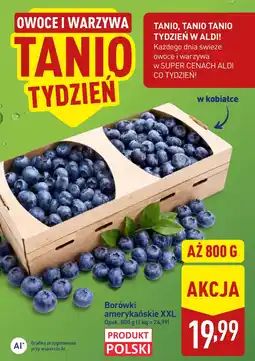 ALDI Borówki amerykańskie Aldi oferta