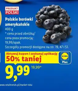 Lidl Borówki amerykańskie Polski oferta