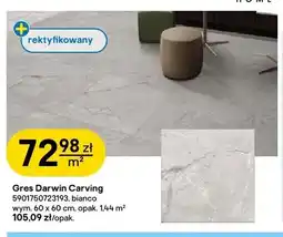 Castorama Gres Darwin Carving Egen oferta