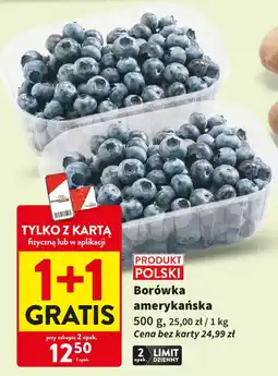 Intermarche Borówka amerykańska oferta