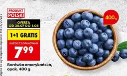 Biedronka Borówka amerykańska oferta