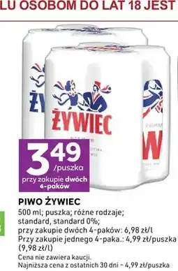 Stokrotka Piwo Żywiec Standard oferta