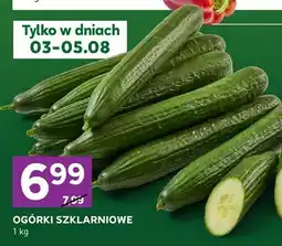 Stokrotka Ogórki szklarniowe oferta