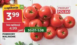 Stokrotka Pomidory malinowe polskie oferta