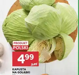 Stokrotka Kapusta na gołąbki oferta