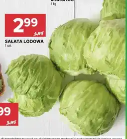 Stokrotka Sałata lodowa oferta