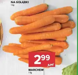 Stokrotka Marchew oferta