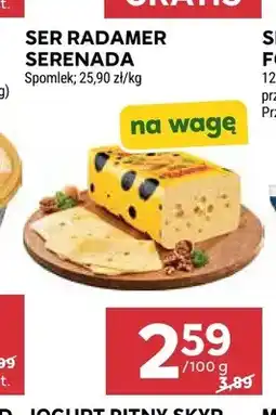 Stokrotka Ser Radamer Serenada Spomlek oferta