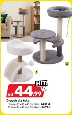 Bricomarche Drapak dla kota biały oferta