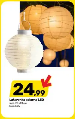 Bricomarche Latarenka solarna LED oferta