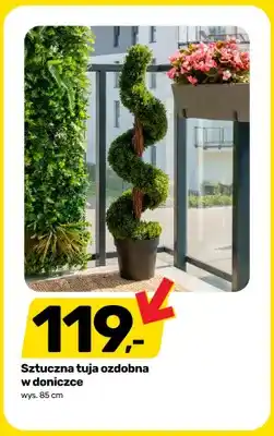 Bricomarche Sztuczna tuja ozdobna w doniczce oferta