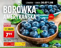 Biedronka Borówka amerykańska polska oferta