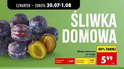 Biedronka Śliwka domowa na wagę oferta