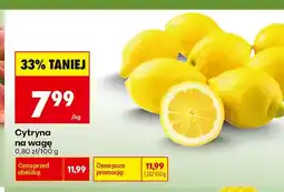 Biedronka Cytryna na wagę oferta