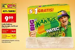 Biedronka Lody Kaktus Big Jungle 6-pak oferta