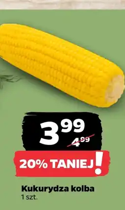 Netto Kukurydza oferta