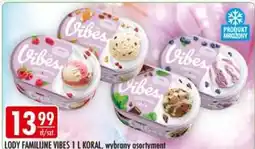 Sklepy Doroty Lody Familijne Vibes oferta