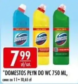 Sklepy Doroty Domestos Płyn do WC oferta