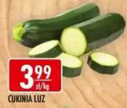 Sklepy Doroty Cukinia Luz oferta