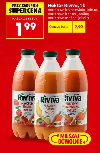 Biedronka Nektar Riviva oferta