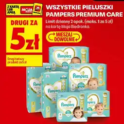 Biedronka Pieluszki Pampers Premium Care oferta