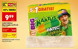 Biedronka Lody Kaktus Big Jungle oferta