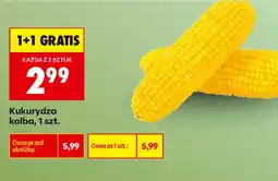 Biedronka Kukurydza kolba oferta