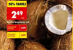 Biedronka Kokos brązowy oferta