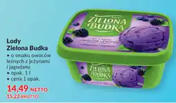 Makro Lody Zielona Budka o smaku owoców leśnych z jeżynami i jagodami oferta