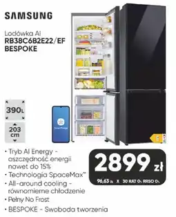 Max Elektro Lodówka AI BESPOKE oferta