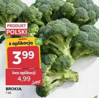 Stokrotka Market Brokuł oferta